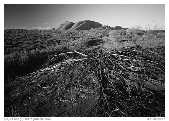 Olgas, late afternoon. Olgas, Uluru-Kata Tjuta National Park, Northern Territories, Australia (black and white)