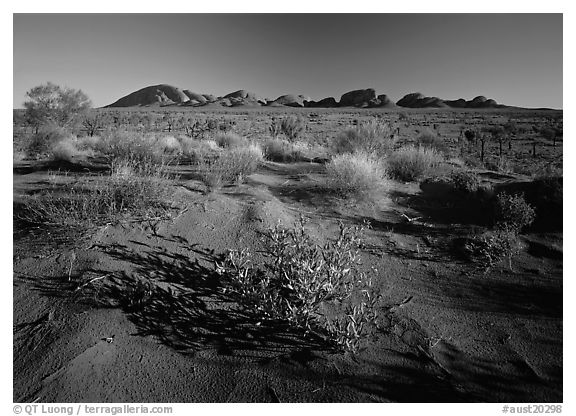 Pink sand dunes and Olgas. Olgas, Uluru-Kata Tjuta National Park, Northern Territories, Australia (black and white)
