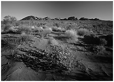 Pink sand dunes and Olgas. Olgas, Uluru-Kata Tjuta National Park, Northern Territories, Australia (black and white)