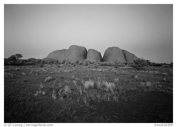 Olgas at dusk. Olgas, Uluru-Kata Tjuta National Park, Northern Territories, Australia