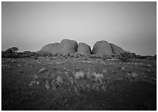 Olgas at dusk. Olgas, Uluru-Kata Tjuta National Park, Northern Territories, Australia (black and white)