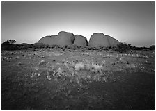 Olgas at sunset. Australia ( black and white)