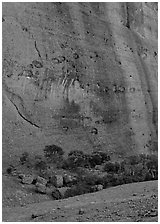 Rock wall, the Olgas. Australia ( black and white)