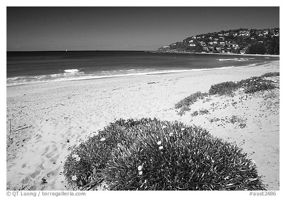 Beach north of the city. Sydney, New South Wales, Australia (black and white)