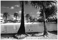 Artificial beach, complete with sand and palm trees. Brisbane, Queensland, Australia (black and white)