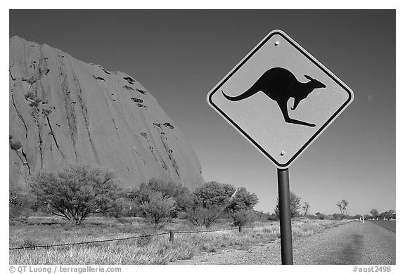 Kangaroo crossing sign near Ayers Rock. Australia (black and white)