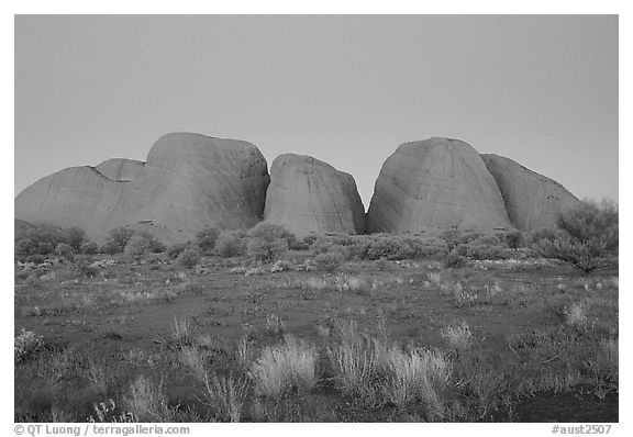 Olgas, dusk. Olgas, Uluru-Kata Tjuta National Park, Northern Territories, Australia (black and white)