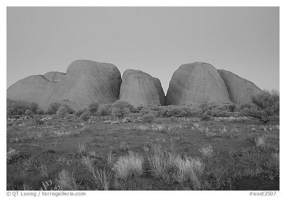 Olgas, dusk. Olgas, Uluru-Kata Tjuta National Park, Northern Territories, Australia