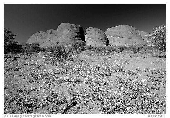 Olgas, mid-day. Olgas, Uluru-Kata Tjuta National Park, Northern Territories, Australia