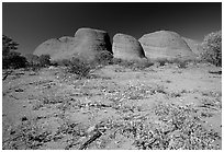 Olgas, mid-day. Olgas, Uluru-Kata Tjuta National Park, Northern Territories, Australia (black and white)