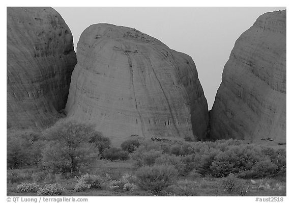 Olgas, dusk. Olgas, Uluru-Kata Tjuta National Park, Northern Territories, Australia