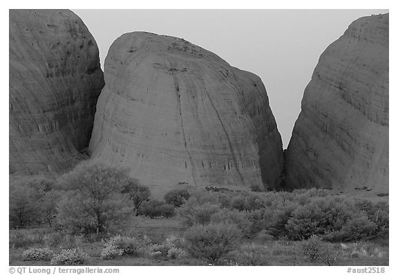 Olgas, dusk. Olgas, Uluru-Kata Tjuta National Park, Northern Territories, Australia