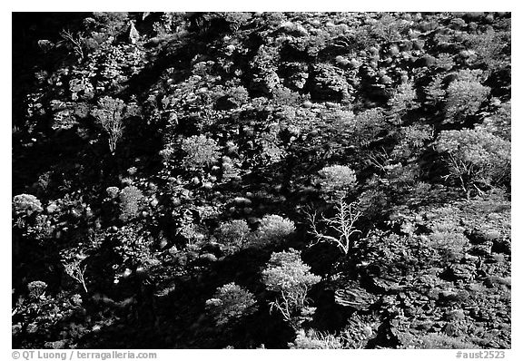 Kings Canyon slopes, Watarrka National Park. Northern Territories, Australia