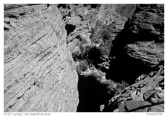 Kings Canyon walls,  Watarrka National Park. Northern Territories, Australia (black and white)