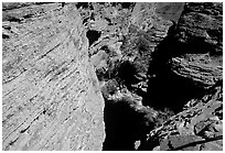 Kings Canyon walls,  Watarrka National Park. Northern Territories, Australia (black and white)