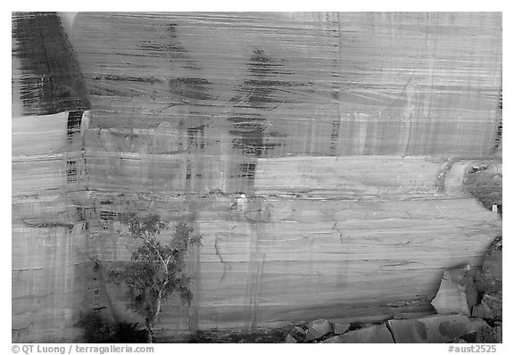 Rock wall striated with desert varnish in Kings Canyon,  Watarrka National Park. Northern Territories, Australia (black and white)