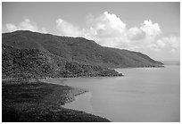 Aerial view of the coast near Cape Tribulation. Queensland, Australia (black and white)