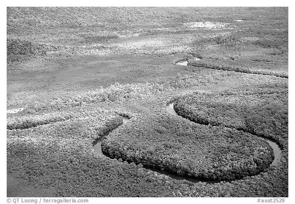 Aerial meandering river in rainforest near Cape Tribulation. Queensland, Australia