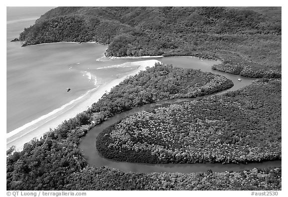 Aerial meandering river in rainforest and beach near Cape Tribulation. Queensland, Australia (black and white)