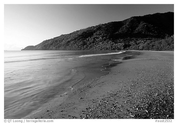 Beach near Cape Tribulation. Queensland, Australia (black and white)