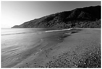 Beach near Cape Tribulation. Queensland, Australia (black and white)