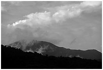 Mountains covered with rain forest near Cape Tribulation. Queensland, Australia ( black and white)