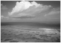 Aerial view of a reef near Cairns. The Great Barrier Reef, Queensland, Australia (black and white)