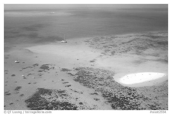 Aerial view of a reef and sand bar  near Cairns. The Great Barrier Reef, Queensland, Australia