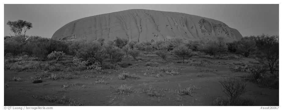 Ayers rock at twilight. Uluru-Kata Tjuta National Park, Northern Territories, Australia (black and white)