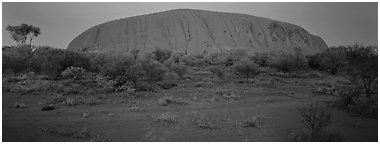 Ayers rock at twilight. Uluru-Kata Tjuta National Park, Northern Territories, Australia (Panoramic black and white)