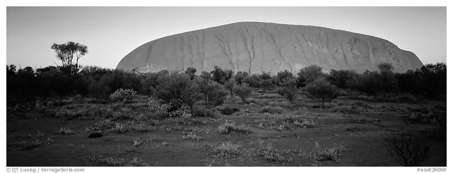 Ayers rock with sunrise glow. Uluru-Kata Tjuta National Park, Northern Territories, Australia (black and white)