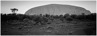 Ayers rock with sunrise glow. Uluru-Kata Tjuta National Park, Northern Territories, Australia (Panoramic black and white)