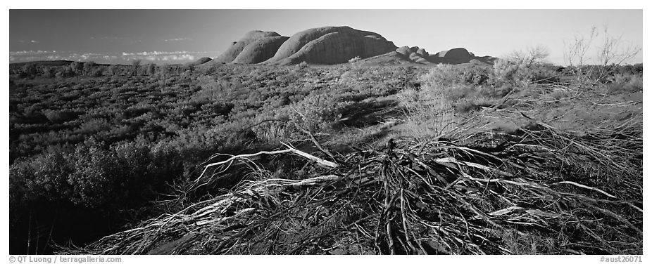 Australian outback, Olgas. Olgas, Uluru-Kata Tjuta National Park, Northern Territories, Australia (black and white)