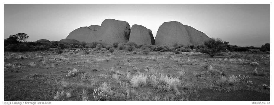 Olgas with sunset glow. Olgas, Uluru-Kata Tjuta National Park, Northern Territories, Australia (black and white)