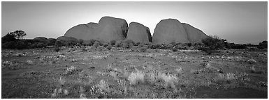 Olgas with sunset glow. Olgas, Uluru-Kata Tjuta National Park, Northern Territories, Australia (Panoramic black and white)