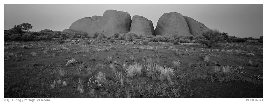 Olgas rocks at twilight. Olgas, Uluru-Kata Tjuta National Park, Northern Territories, Australia (black and white)