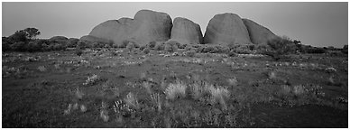 Olgas rocks at twilight. Olgas, Uluru-Kata Tjuta National Park, Northern Territories, Australia (Panoramic black and white)