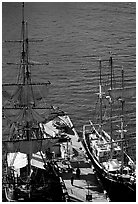 Historic Sailboats in harbour. Sydney, New South Wales, Australia (black and white)