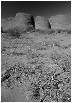 Olgas, mid-day. Olgas, Uluru-Kata Tjuta National Park, Northern Territories, Australia (black and white)