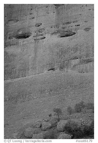 Detail of rock wall of the Olgas. Olgas, Uluru-Kata Tjuta National Park, Northern Territories, Australia (black and white)