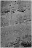 Detail of rock wall of the Olgas. Olgas, Uluru-Kata Tjuta National Park, Northern Territories, Australia ( black and white)