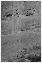 Detail of rock wall of the Olgas. Olgas, Uluru-Kata Tjuta National Park, Northern Territories, Australia ( black and white)