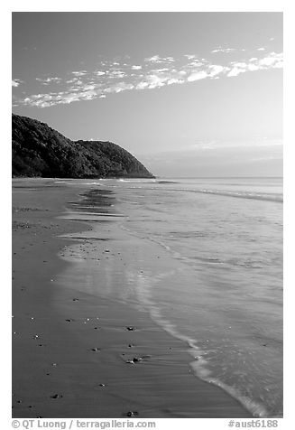 Beach near Cape Tribulation. Queensland, Australia (black and white)