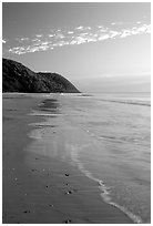 Beach near Cape Tribulation. Queensland, Australia (black and white)