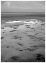 Turquoise waters. The Great Barrier Reef, Queensland, Australia ( black and white)