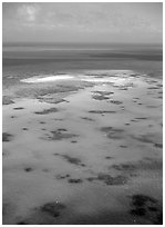 Turquoise waters. The Great Barrier Reef, Queensland, Australia (black and white)