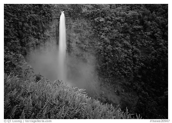 Akaka Falls. Akaka Falls State Park, Big Island, Hawaii, USA (black and white)