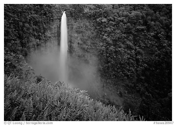 Akaka Falls. Akaka Falls State Park, Big Island, Hawaii, USA