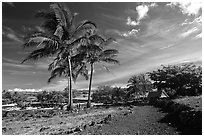 Lapakahi historical park. Big Island, Hawaii, USA (black and white)