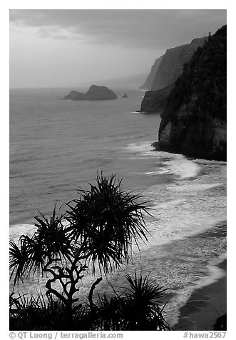 Untamed coast of the North shore from Polulu Valley overlook, dusk. Big Island, Hawaii, USA (black and white)